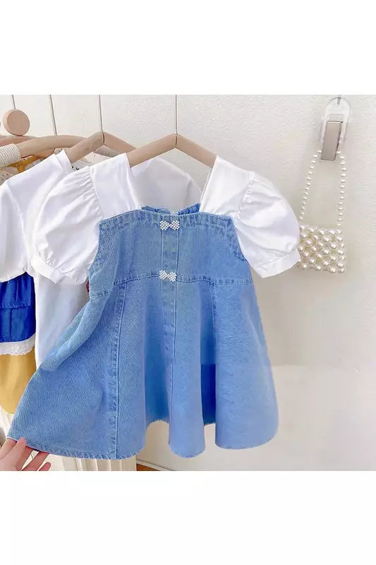 Ray Denim Dress