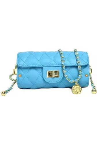 Luxe chain strap Purse