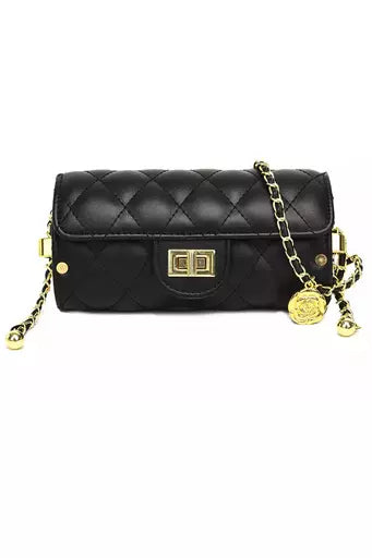 Luxe chain strap Purse